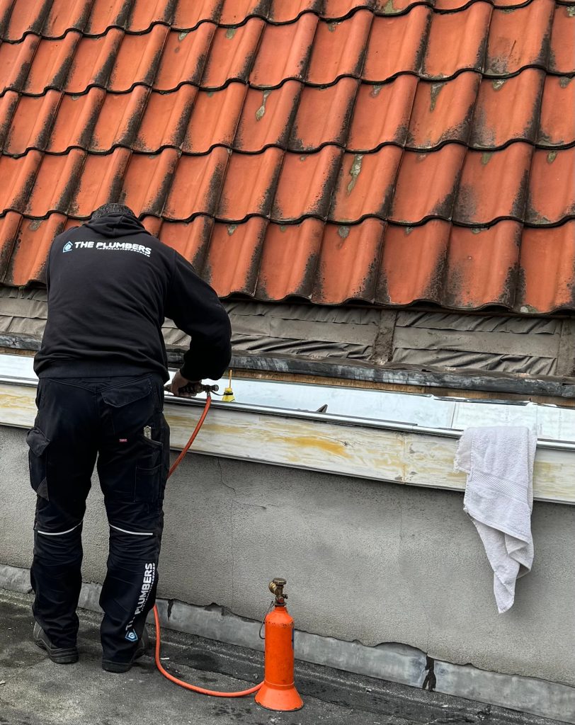 img 1713 crop2 img 1713 crop2